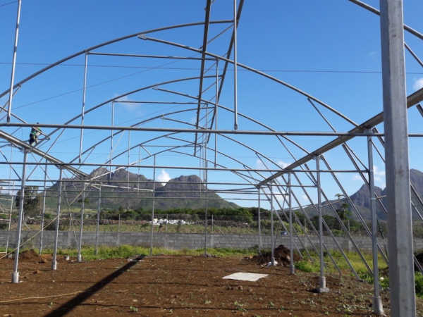 Greenhouses Greenhouses